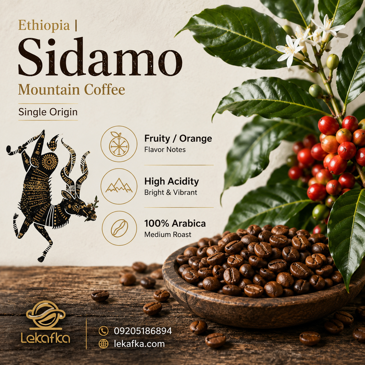 قهوه سیدامو (عربیکا)؛ بررسی تخصصی طعم، عطر، اسیدیته و بهترین روش دم‌آوری