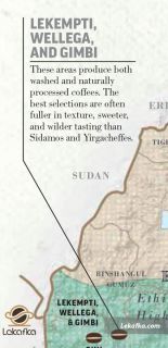 لکمپتی، ویلیگا و گیمبی 