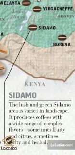 سیدامو