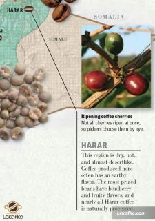 منطقه حرار (Harar)