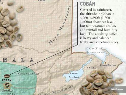 منطقه COBAN