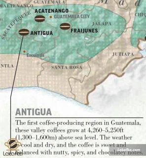 منطقه ANTIGUA