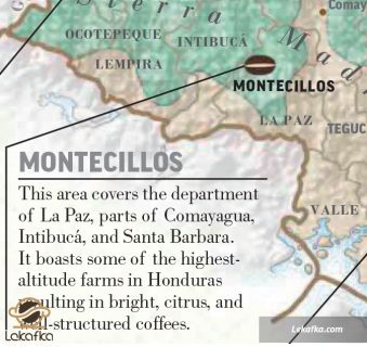 MONTECILLOS