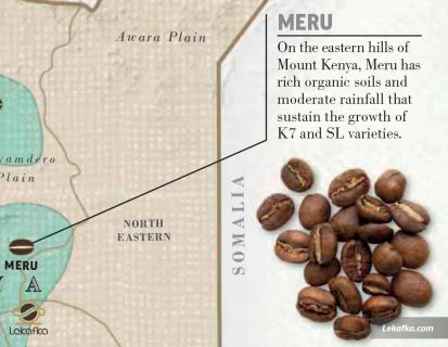 منطقه MERU