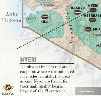 منطقه NYERI
