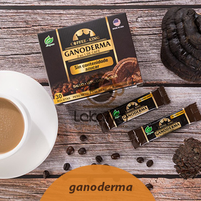 قهوه گانودرما چیست؟ (فواید و عوارض برای لاغری)