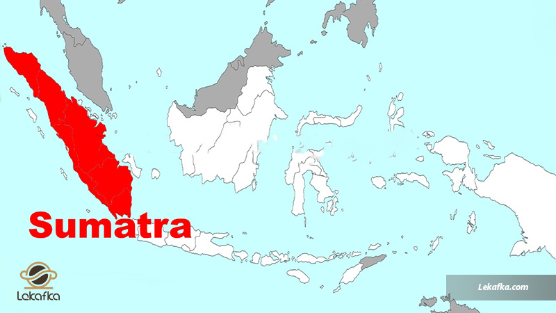 جغرافیای قهوه