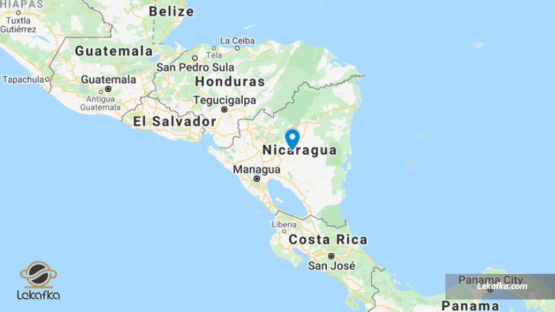 جغرافیای قهوه