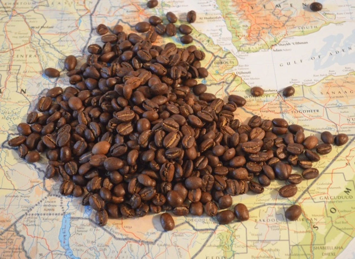 مزرعه کشت سیدامو کجاست؟