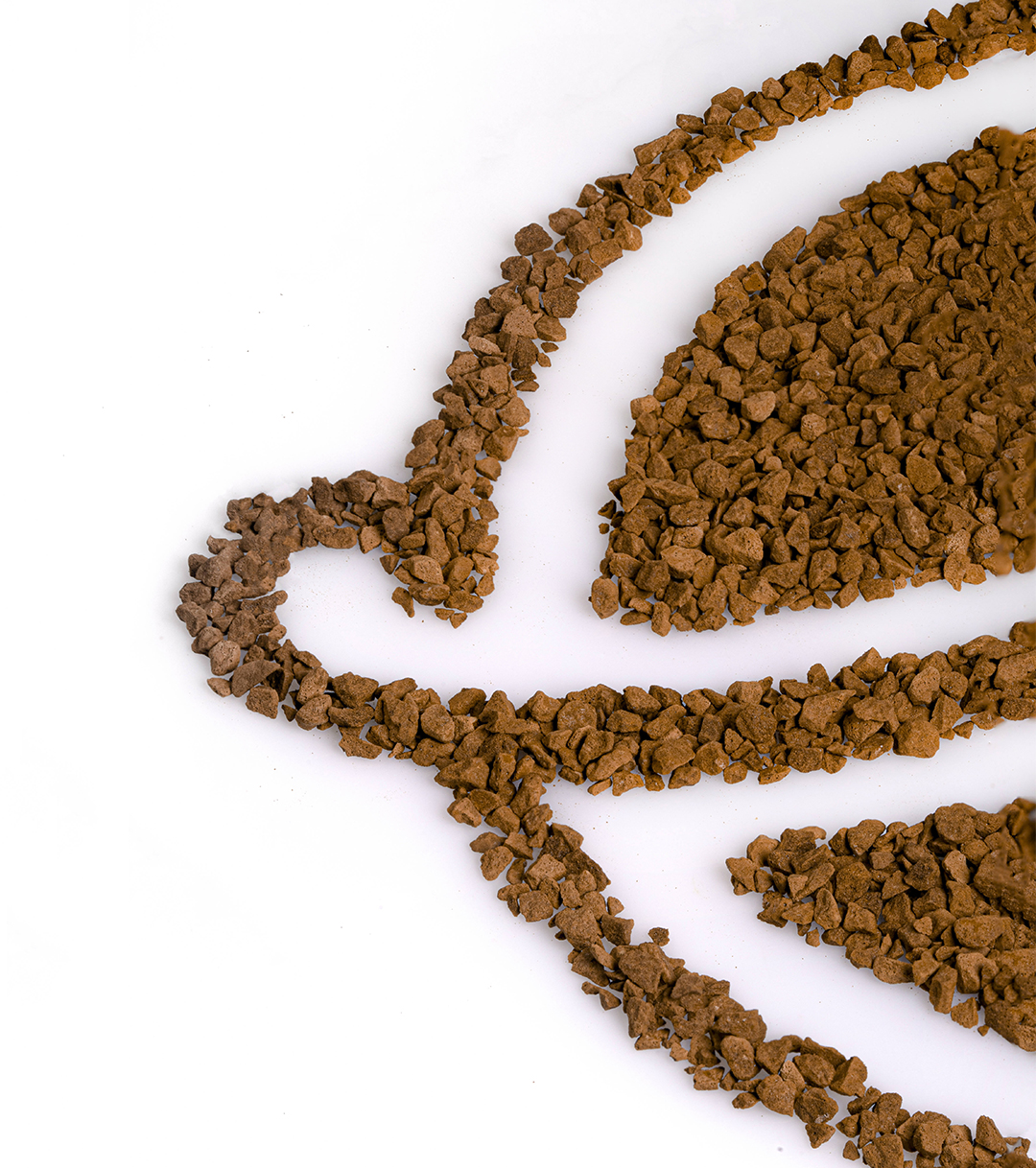 گلد اکوادور