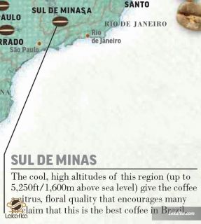 منطقه SUL DE MINAS