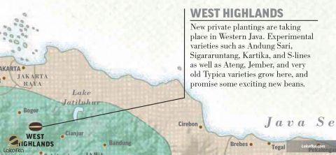 ارتفاعات غربی جزیره