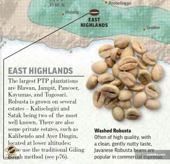 ارتفاعات شرقی  جزیره