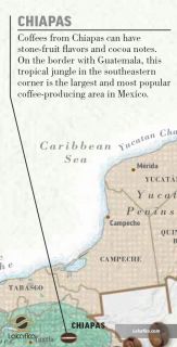 منطقه چیاپاس (Chiapas)