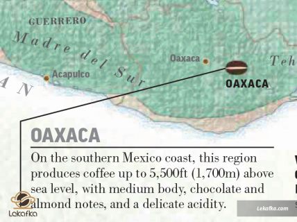 منطقه اوکساکا (Oaxaca)