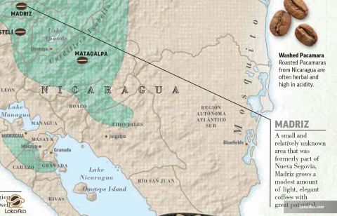 منطقه مادریز (Madriz)