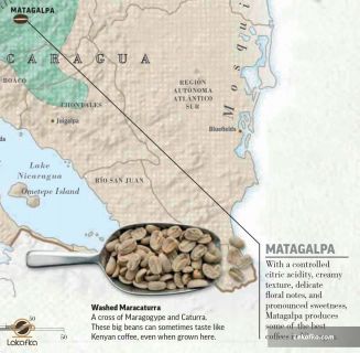 منطقه ماتاگالپا (Matagalpa)