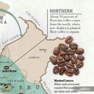 ناحیه شمالی