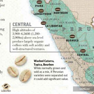 ناحیه مرکزی