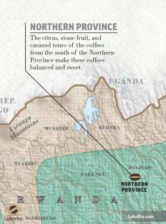 استان شمالی