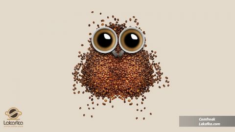 آکادمی قهوه آمارو آکادمی قهوه آمارو