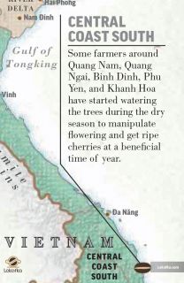 مناطق مرتفع مرکزی غربی