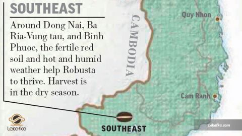 مناطق جنوب شرقی